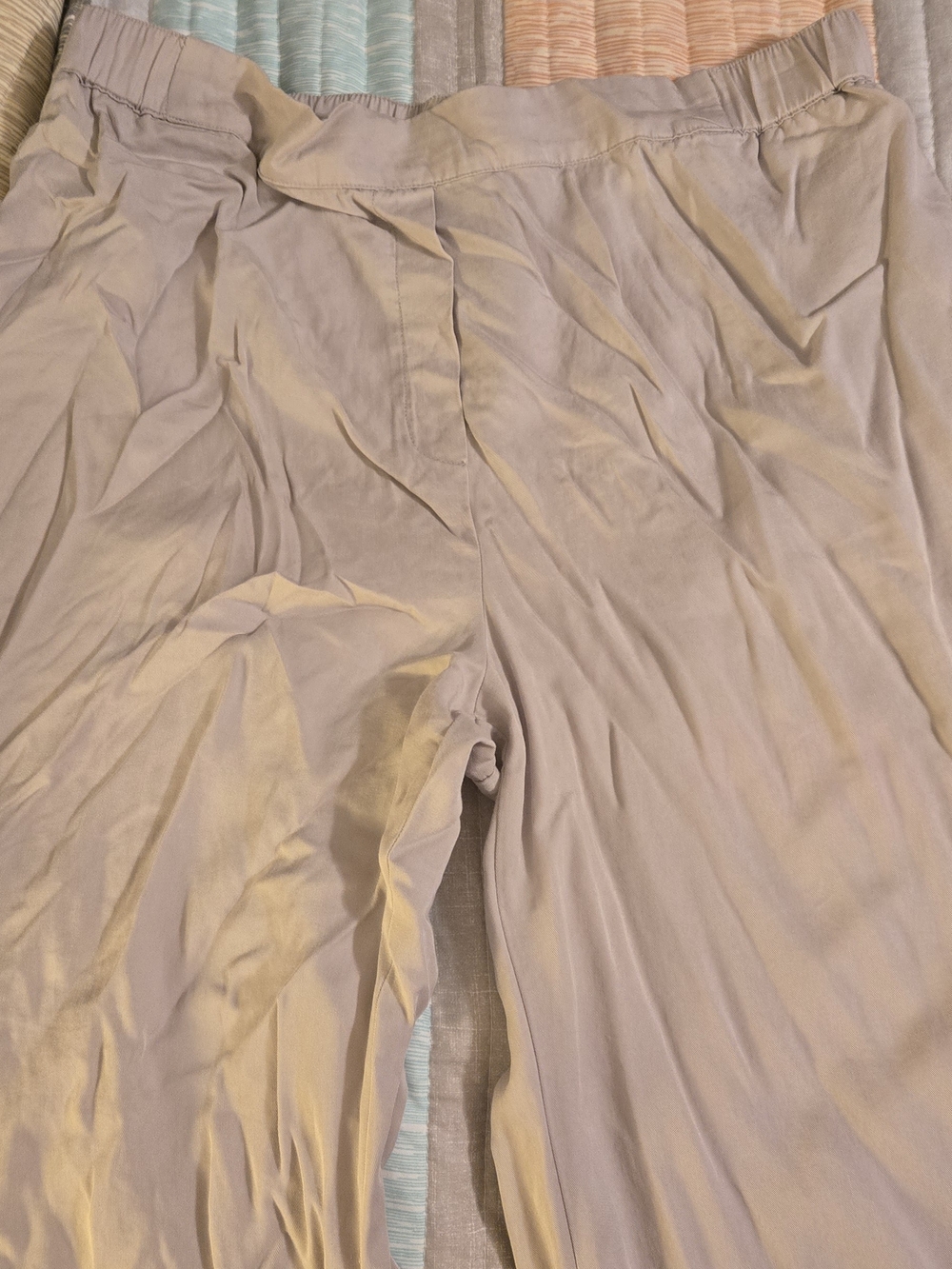 Philosophy Petite Light Taupe Elastic Waist Pants XLP